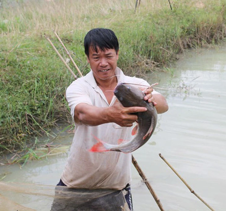 Nuôi cá lăng đuôi đỏ ven sông Sêrêpốk thắng đậm dịp Tết - Ảnh 2.
