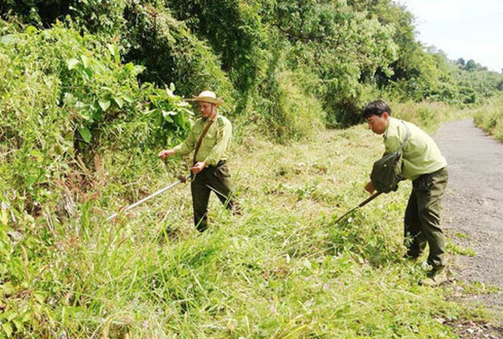 Phú Quốc: Cháy lớn ở khu vực bãi Ông Lang  - Ảnh 2.