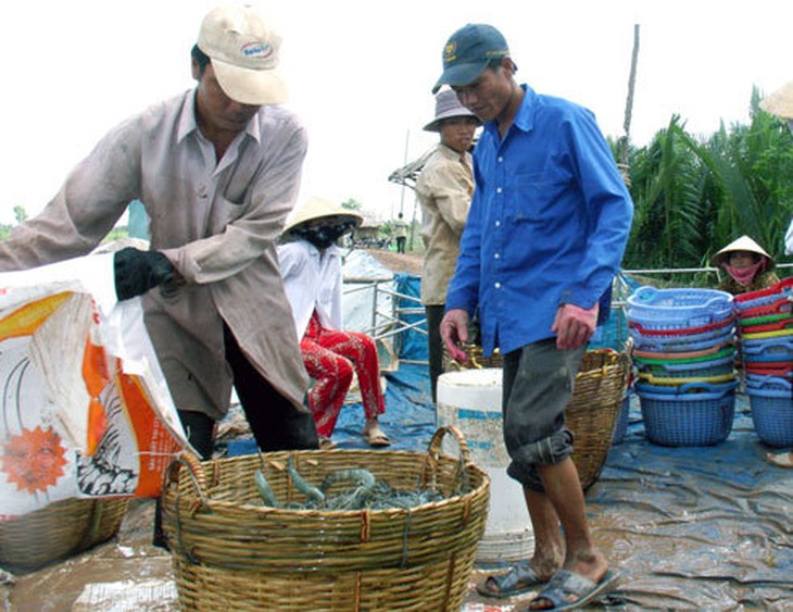 Ngành thuỷ sản tập trung lĩnh vực nuôi trồng