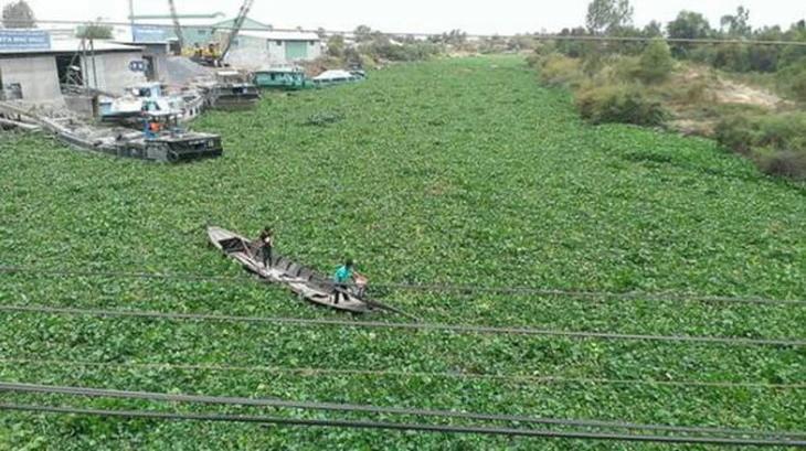 Hãi hùng ô nhiễm môi trường các cửa cống ngăn mặn ở An Giang - Ảnh 4.