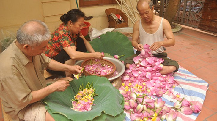 Người cuối cùng làm nghề ướp trà sen