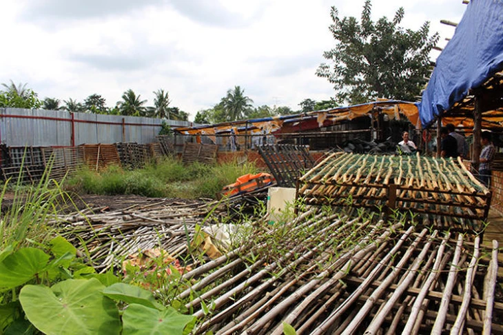 Giá lươn giảm mạnh, người nuôi 'điêu đứng’ - Ảnh 8.
