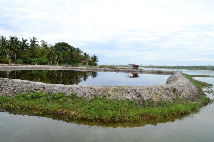 Lấn sông Trường Giang để nuôi tôm