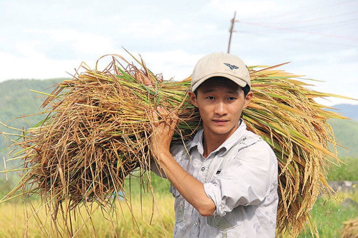 Vững chãi trong cuộc đời buồn