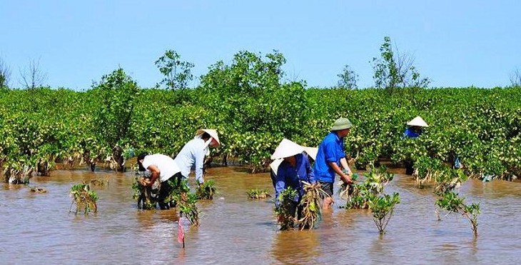 Trung Quốc: Hoàn thành 'vành đai xanh' 3.000 km quanh sa mạc - Ảnh 2.