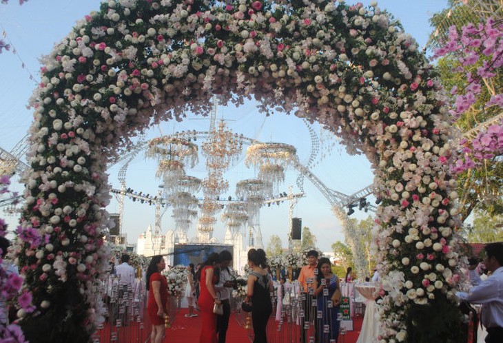 Cà Mau bắn pháo hoa khai mạc Cuộc thi gạo ngon Đồng bằng sông Cửu Long - Ảnh 2.