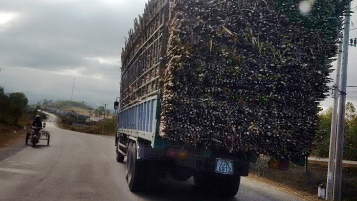 Trưởng Ban quản lý các khu kinh tế tỉnh Gia Lai bị phê bình