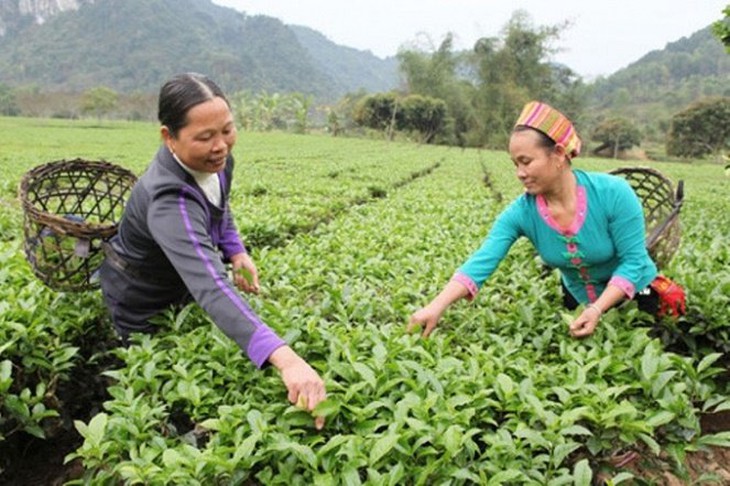 ​Tăng mức cho vay hộ gia đình vùng khó khăn