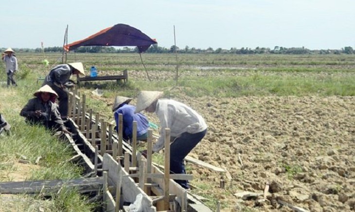 Tổng lực chống hạn hán, xâm nhập mặn