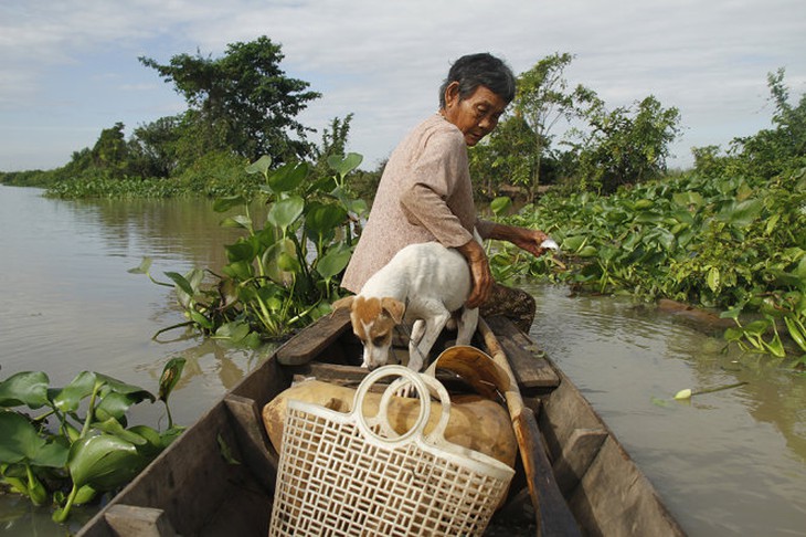 Không có lưới lớn bà đành phải thả lưới ven bờ sông để bắt các loại cá nhỏ về làm thức ăn