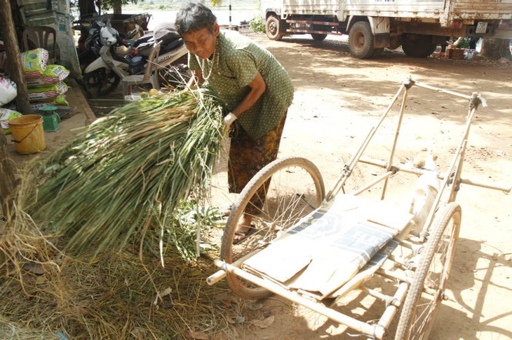 Để có thêm thu nhập bà còn đi cắt cỏ bán