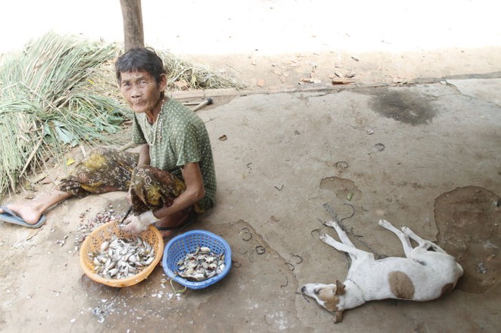 Thành quả sau một buổi làm việc là những con cá nhỏ. Đây là nguồn thức ăn chính của bà và con chó