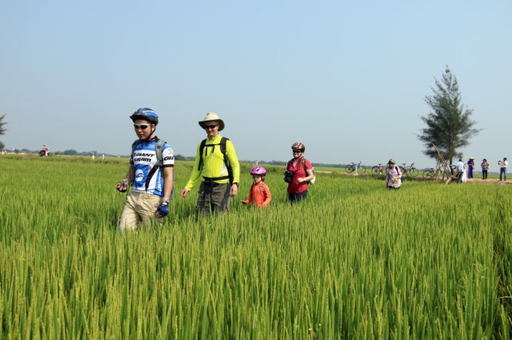 Khám phá cánh đồng quê ở làng Thanh Thủy Chánh-NGỌC HIỂN