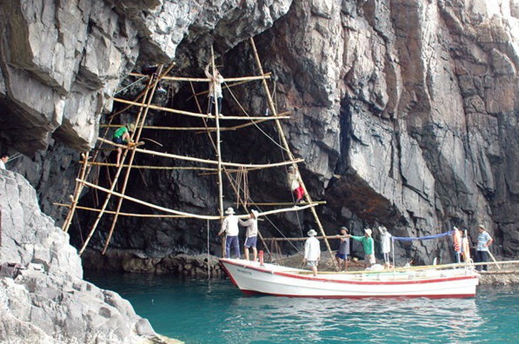 Dựng giàn thu hoạch yến ở hang Đầm Tre, Côn Đảo