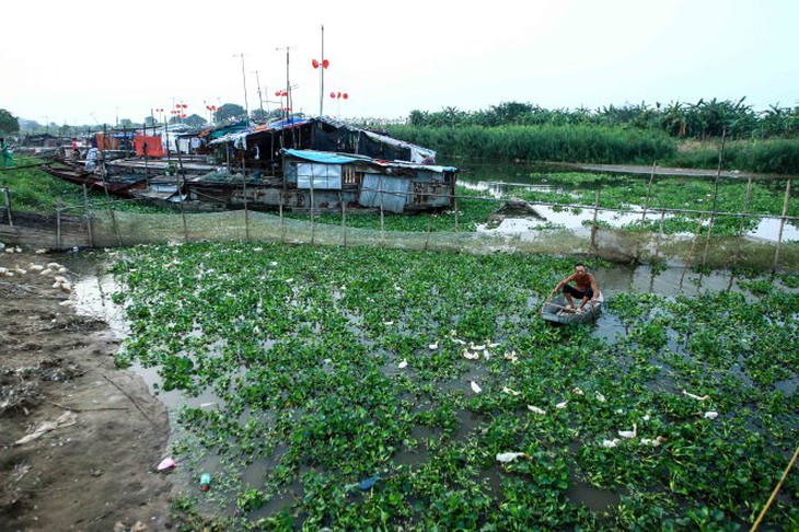 Ông Lưu Văn Khuy lùa đàn vịt về chuồng