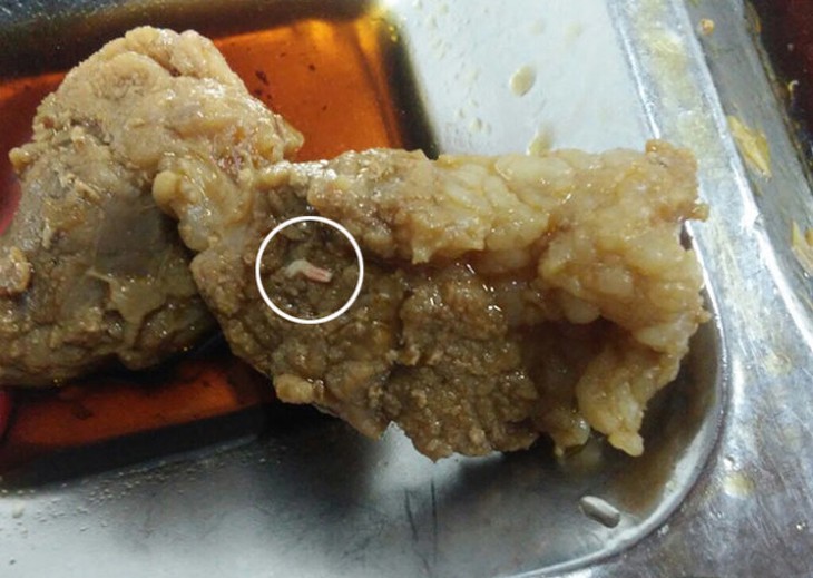 Mời chủ cơ sở gia chánh bị tố có dòi trong thức ăn lên làm việc - Ảnh 3.