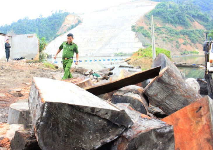 ​Thôi chức hạt trưởng, hạt phó Hạt kiểm lâm huyện Bảo Lâm