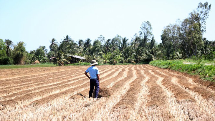 Lập bản đồ hạn mặn cho Đồng bằng sông Cửu Long