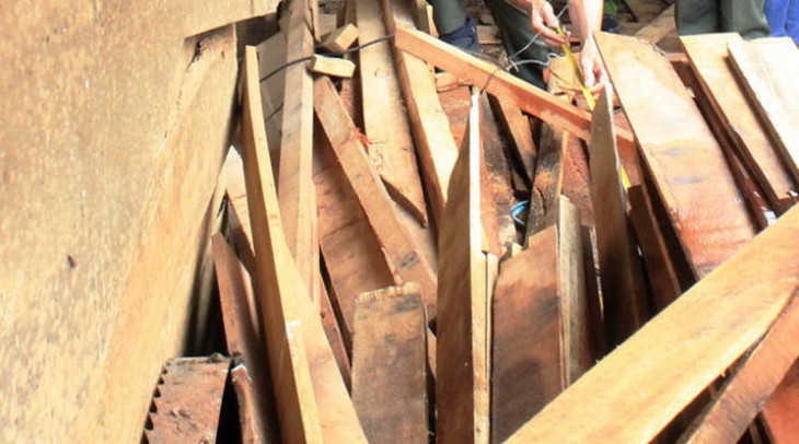 Nguyên Chi cục trưởng Kiểm lâm bị bãi nhiệm chức danh Hội thẩm TAND tỉnh vì vi phạm pháp luật - Ảnh 3.