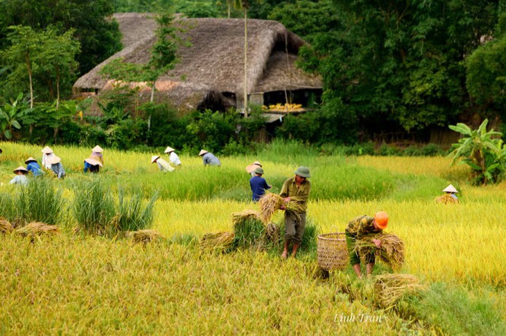 Tìm về thiên nhiên-T.T.Linh