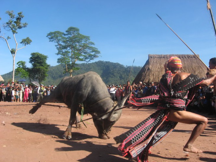 90 làng Cơ Tu bỏ tục đâm trâu