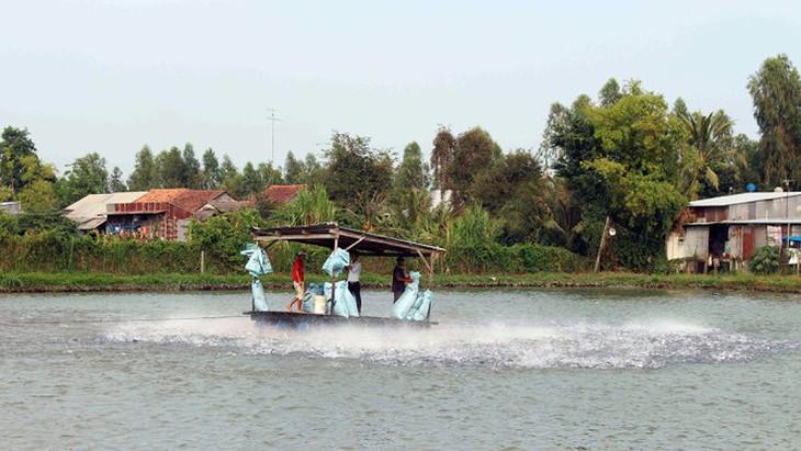 Đại gia thủy sản An Giang bỏ trốn đi nước ngoài: Sắp bán khối nợ 400 tỉ  - Ảnh 3.