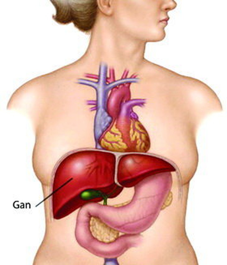 Thêm một bệnh nhi được ghép gan thành công