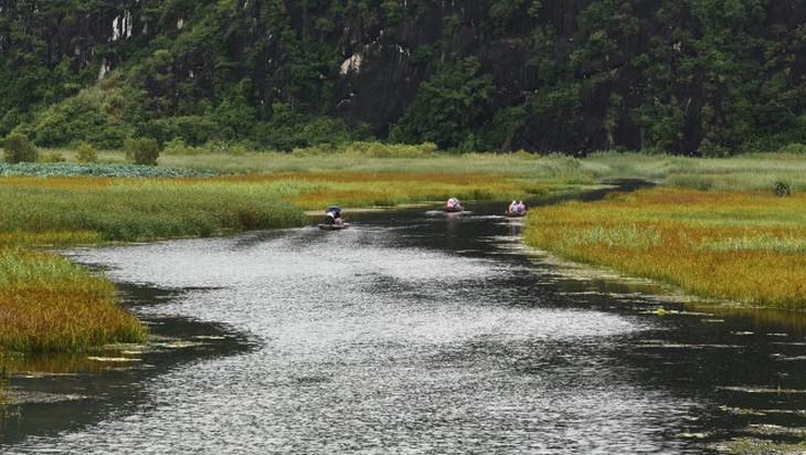 Đường vào. Ảnh Trần Thùy Linh