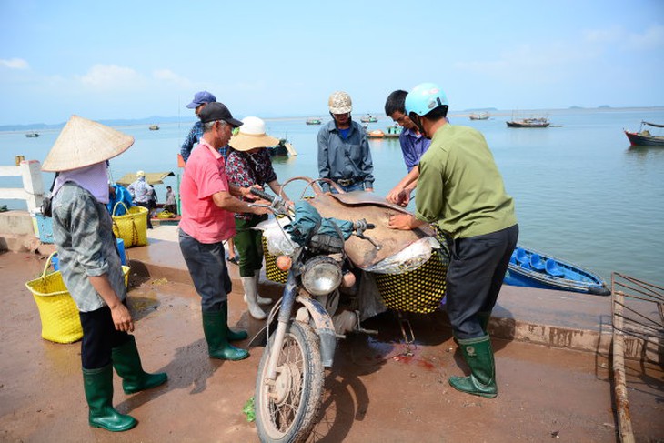 Mua bán hải sản trên cảng Cái Rồng.-Ảnh: Hải Dương