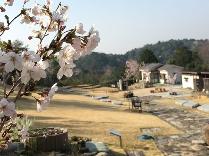 Nghĩa trang sakurasou ở Takatsuki, Osaka. Nguồn: trang web của cơ sở quản lý