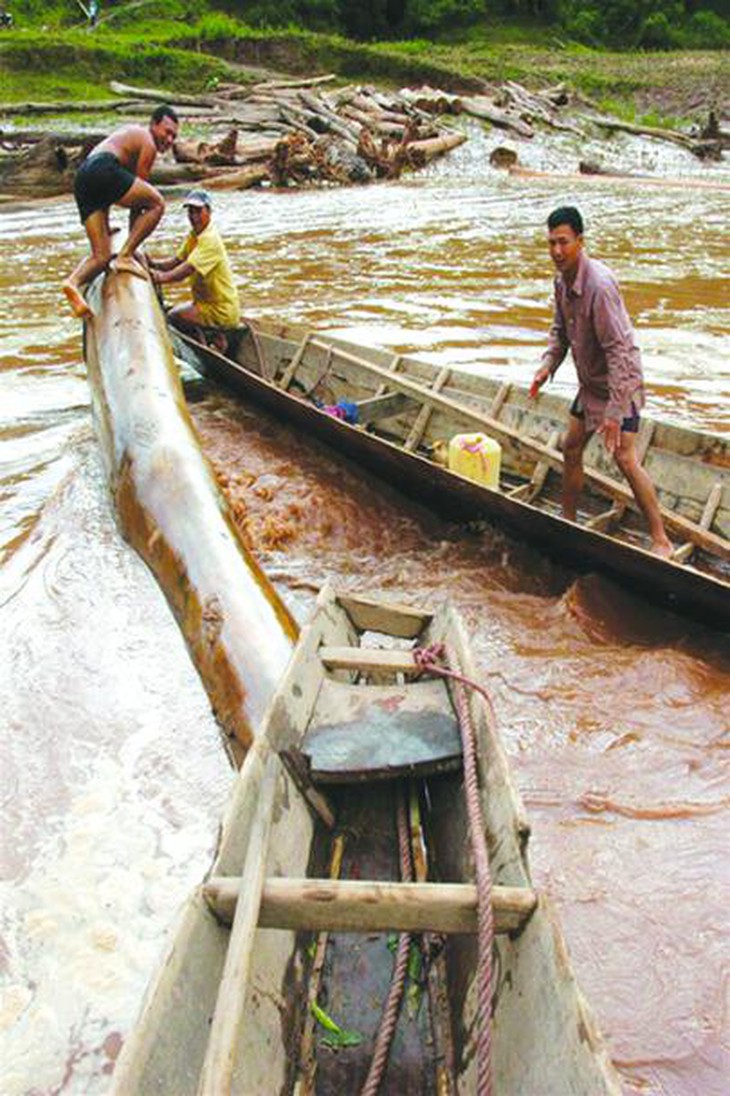 Vớt củi trên sông Đà