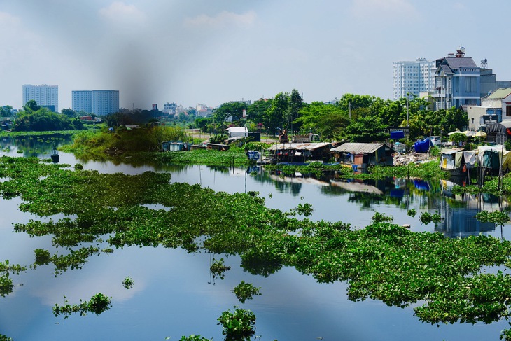 Công viên cây xanh ở TP.HCM: Những mảng xanh trên giấy