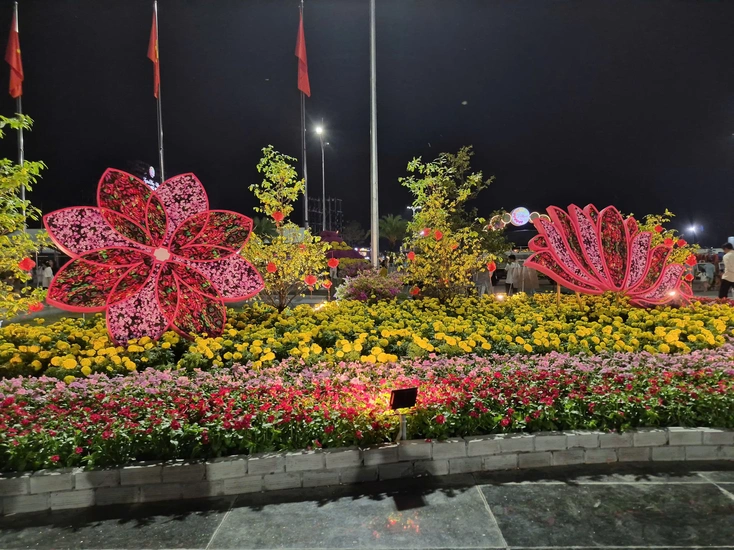 Hôm nay 27-12, khai mạc Festival hoa kiểng Sa Đéc mừng Tết Dương lịch 2026- Ảnh 2.