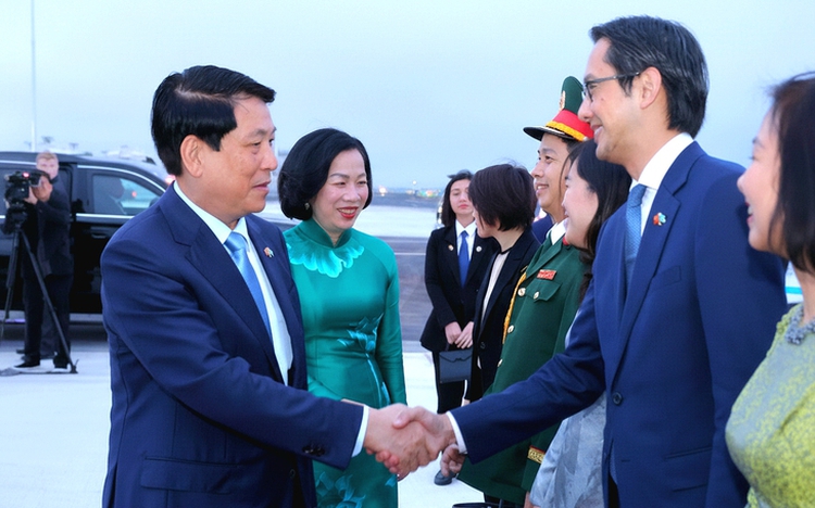 A memorable encounter: US professor shares impressions of meeting with Vietnamese President Luong Cuong
