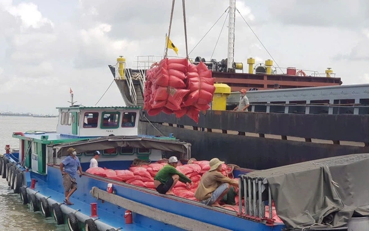 Vietnamese rice exporters seek alternatives as Philippines considers extending import ban