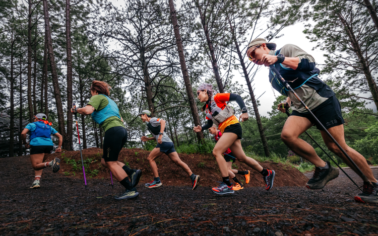 Nearly 1,000 local, int’l runners to compete in Vietnam Highlands Trail 2025