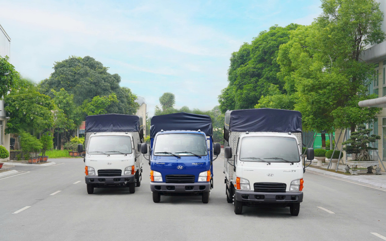 Hyundai debuts Mighty N500 series in Vietnam with 1.9m-high cargo box
