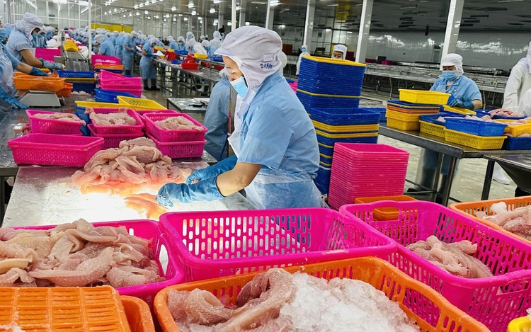 Vietnam, US issue joint statement on framework for fair, balanced trade agreement