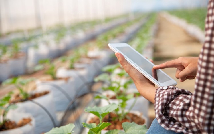 Paving Vietnam’s path to food security amidst climate change