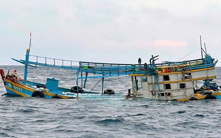 Captain missing as Vietnamese fishing boat sunk by S.Korean vessel