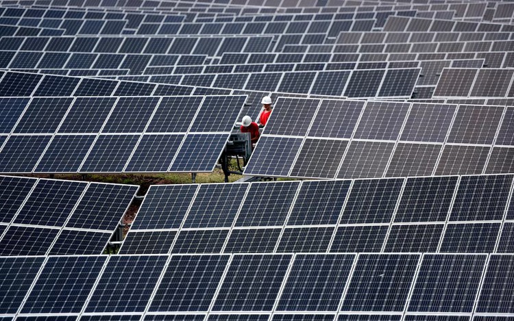 Global renewable power output overtakes coal for the first time, report says