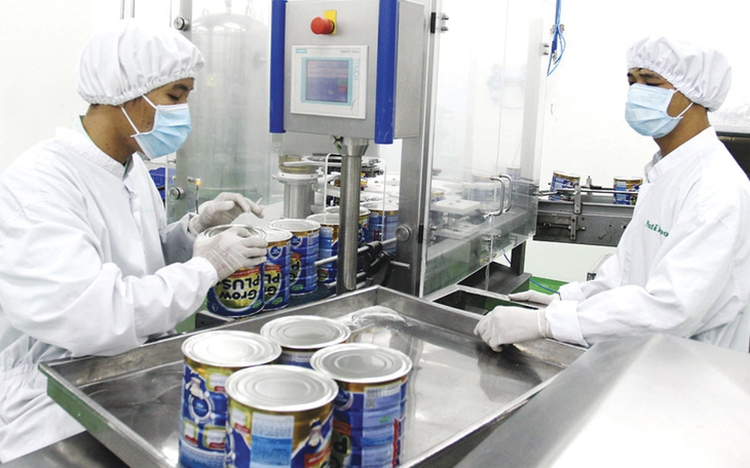 Vietnamese milk brand makes strides on global map