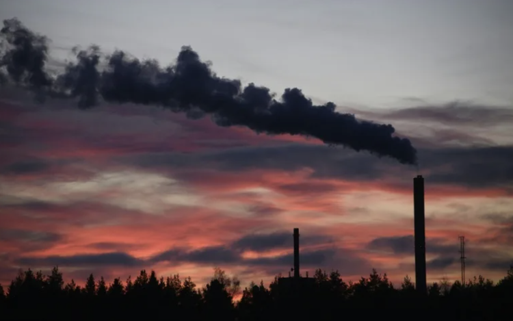 World's fossil fuel emissions to hit new record in 2025: study
