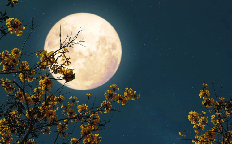 Vietnam to witness 2025’s most spectacular Beaver Moon on November 6