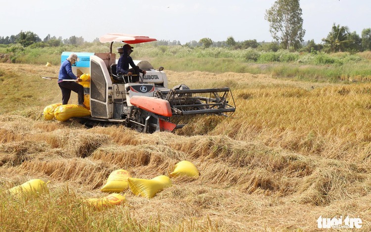 Vietnam aims to build globally leading agricultural enterprises by 2030