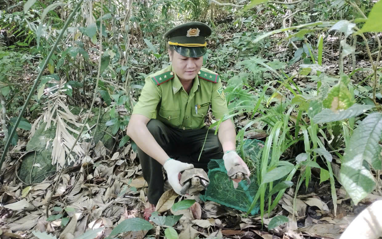 Vietnam’s Bach Ma National Park recognized as ASEAN heritage park
