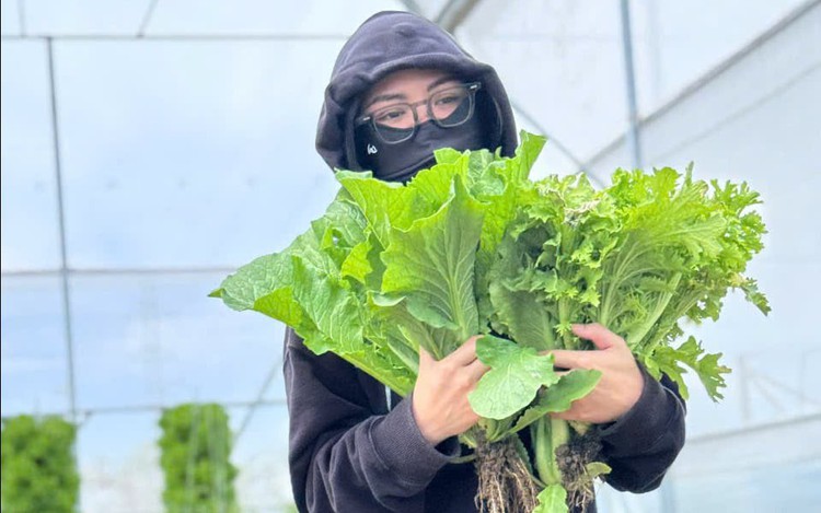 Remote farming, vegetable boxes fuel a clean, green lifestyle in Vietnam