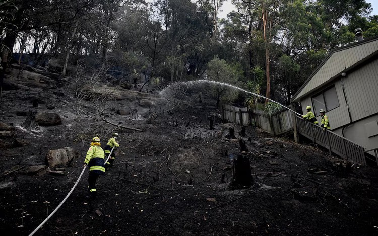 Australian bushfires raze homes in two states; firefighter dies