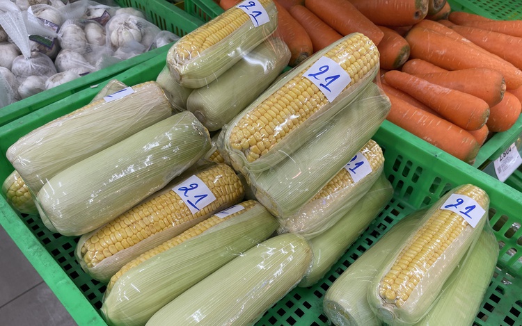 Ho Chi Minh City battles plastic waste in a growing global crisis