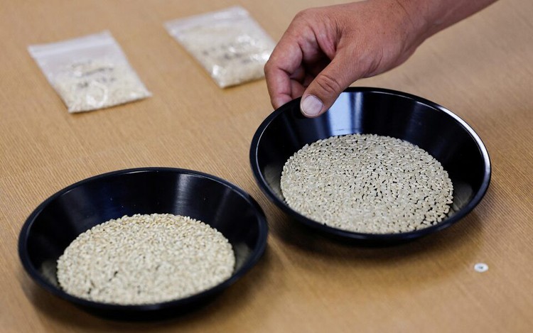 Japan to hold 3rd auction of stockpiled rice next week